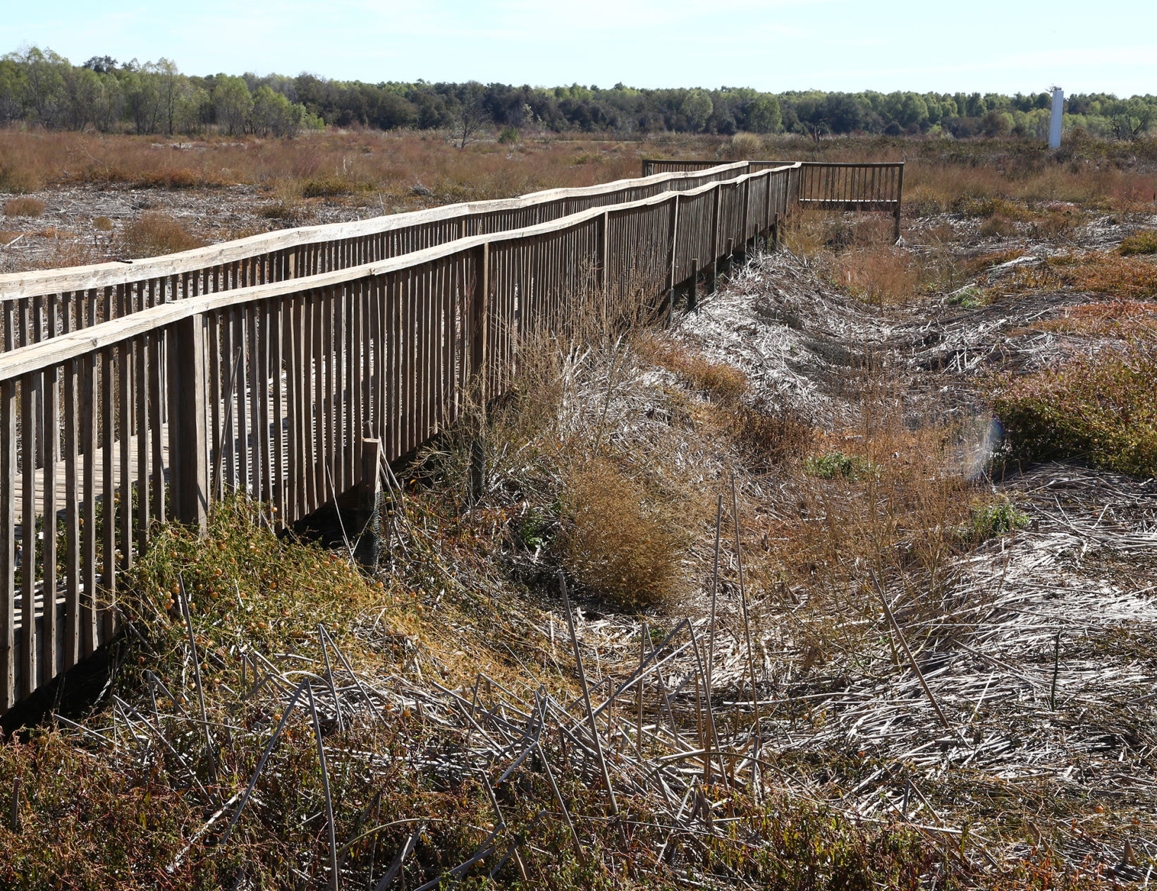 Waco Wetlands